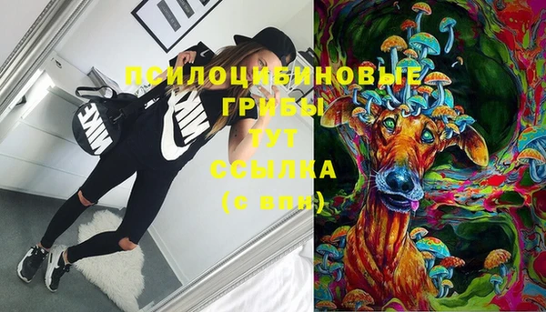 дживик Алзамай