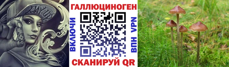 Галлюциногенные грибы ЛСД  сколько стоит  Каменногорск 